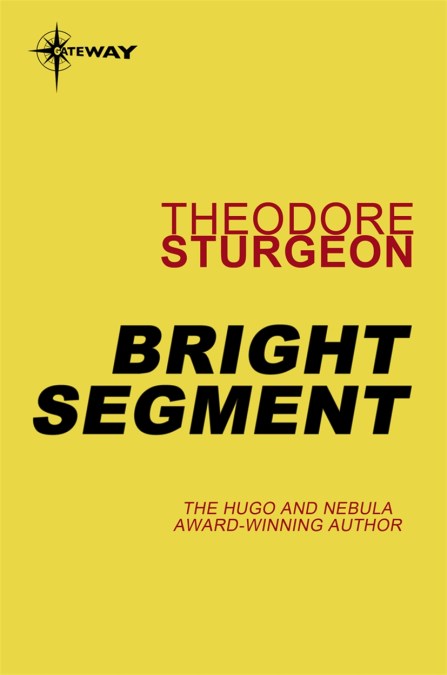 Bright Segment