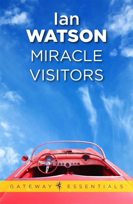 Miracle Visitors