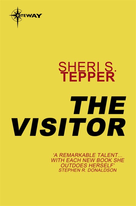 The Visitor