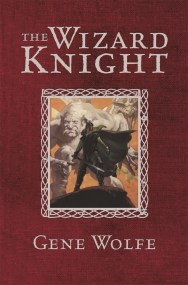 The Wizard Knight