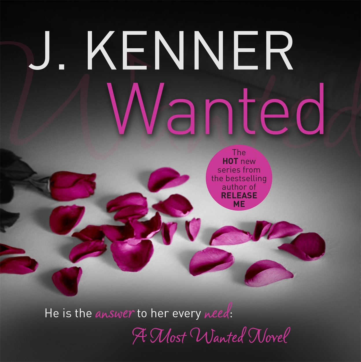 wanted-most-wanted-book-1-by-j-kenner-hachette-uk