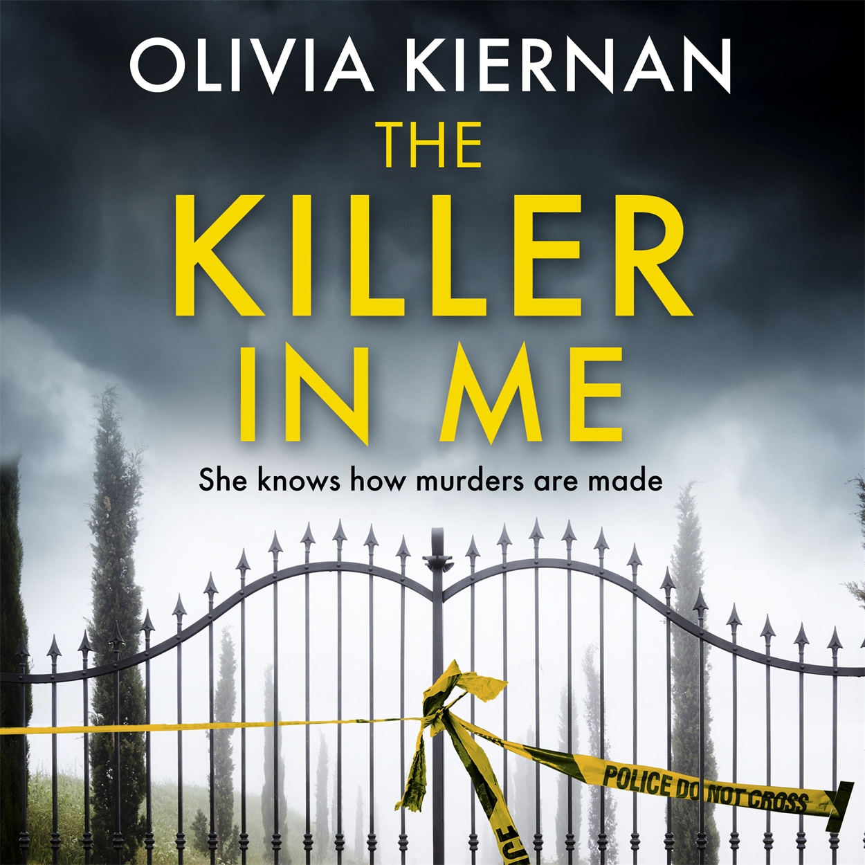 The Killer in Me by Shelley Atkinson | Hachette UK