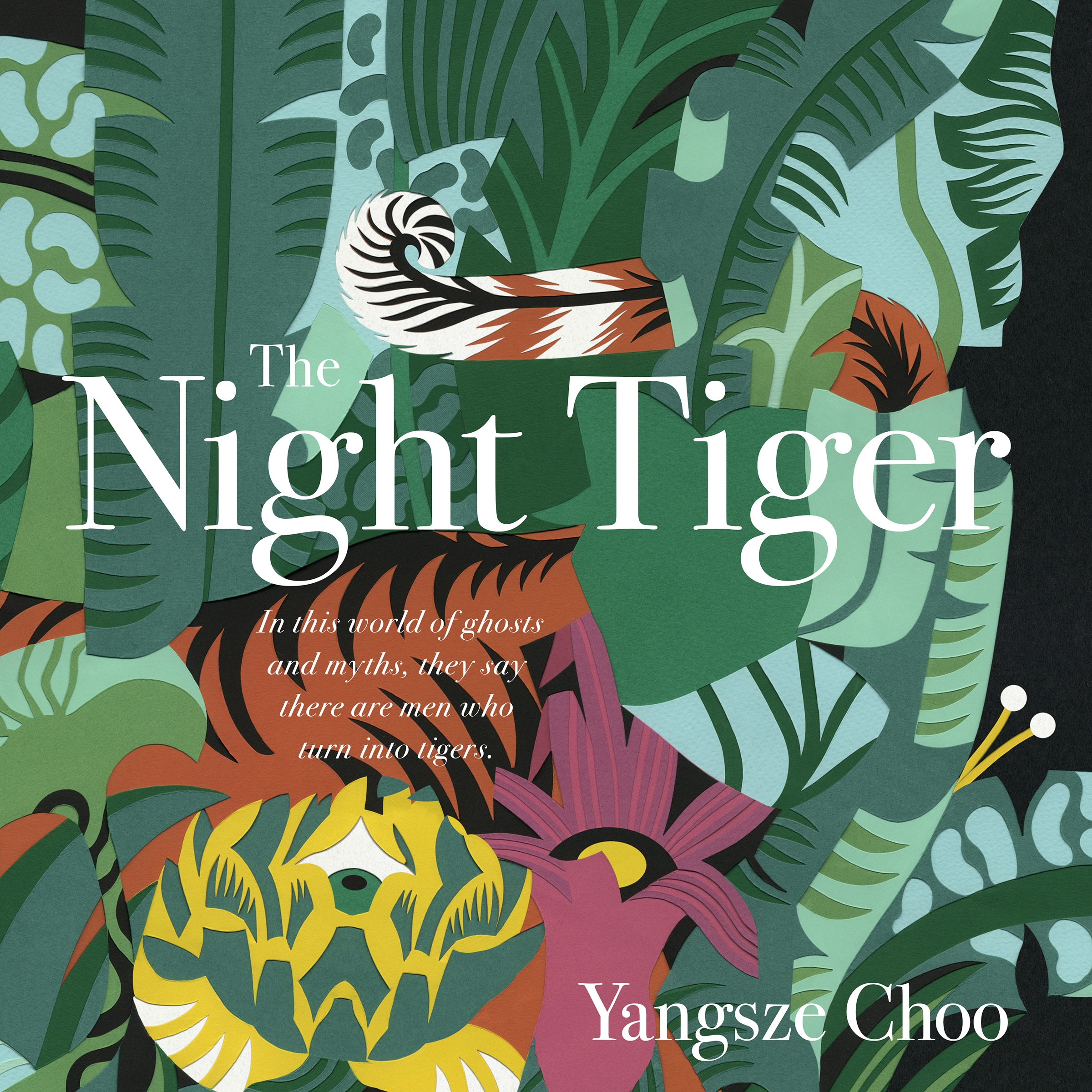 the night tiger book