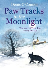 Paw Tracks in the Moonlight