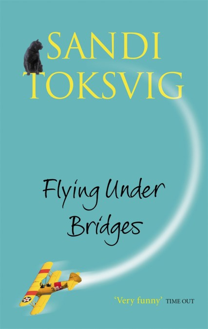 Flying Under Bridges