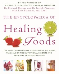 The Encyclopaedia Of Healing Foods