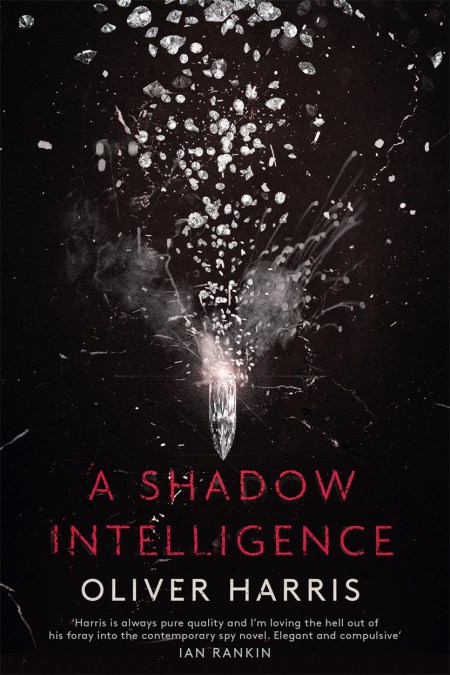 A Shadow Intelligence