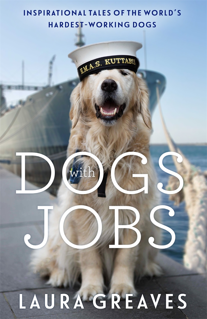 what jobs are there with dogs