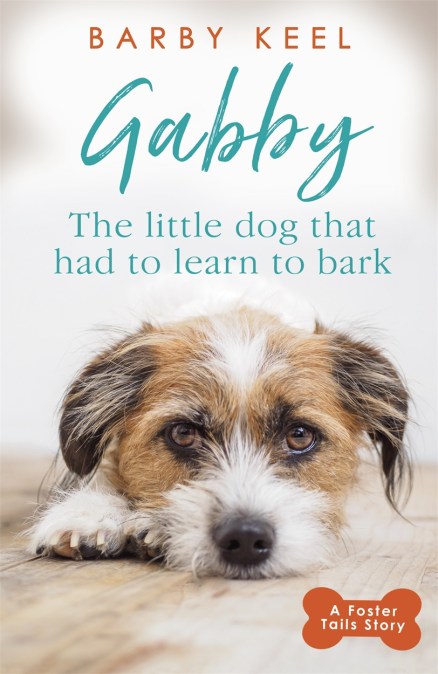 Gabby: The Little Dog that had to Learn to Bark