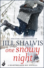 One Snowy Night: A Heartbreaker Bay Book Novella