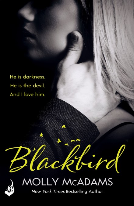 Blackbird