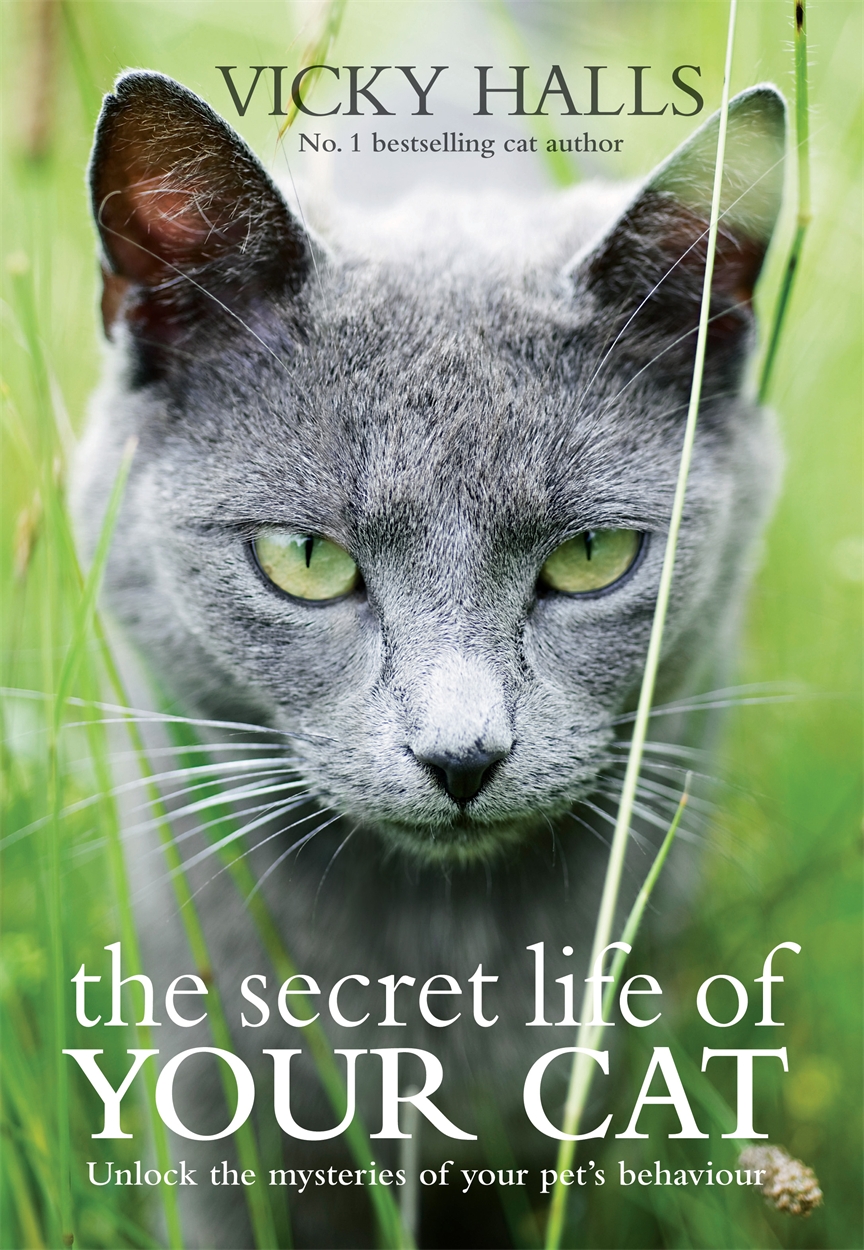 Secret life hot sale of cats