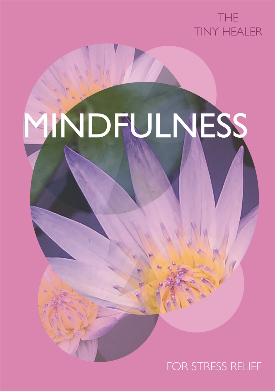 Tiny Healer: Mindfulness by Pyramid | Hachette UK