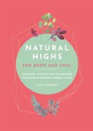 Natural Highs: 70 Instant Energizers for Body and Soul