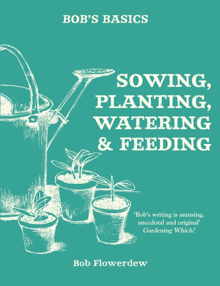 Bob’s Basics: Sowing, Planting, Watering