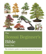 The Bonsai Beginner’s Bible