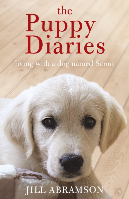 The Puppy Diaries