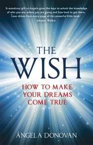 The Wish