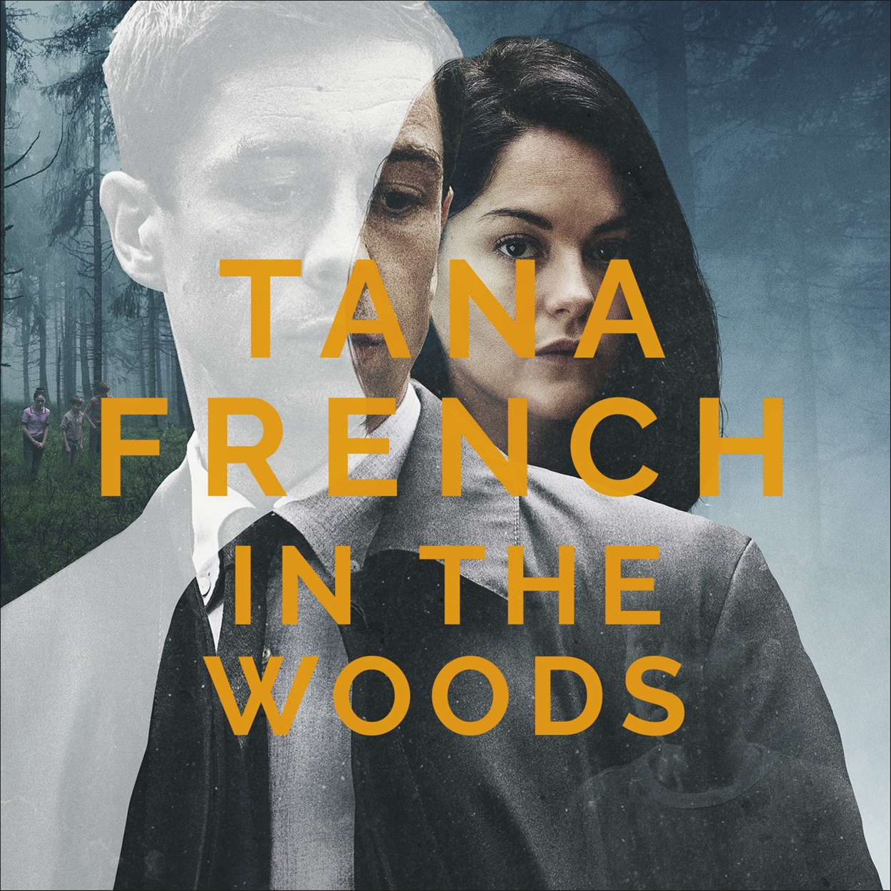 In The Woods By Tana French Hachette Uk