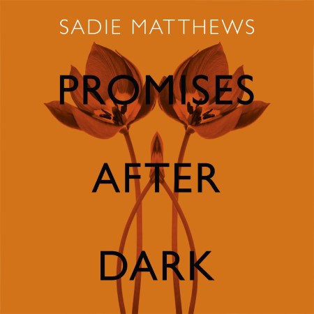 Promises After Dark (After Dark Book 3)