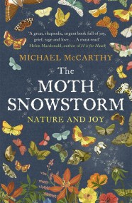 The Moth Snowstorm