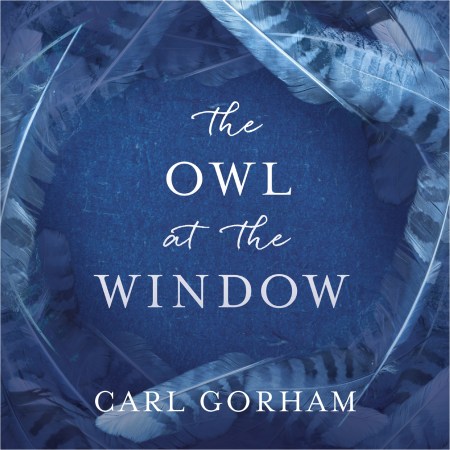 The Owl at the Window