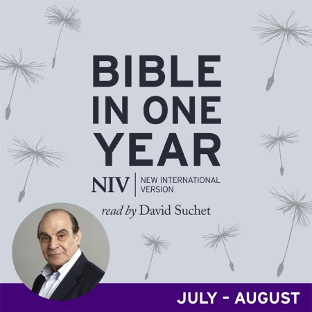 NIV Audio Bible in One Year (Jul-Aug)