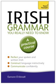 Irish Grammar You Really Need to Know: Teach Yourself