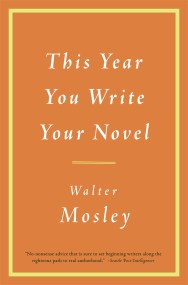 This Year You Write Your Novel