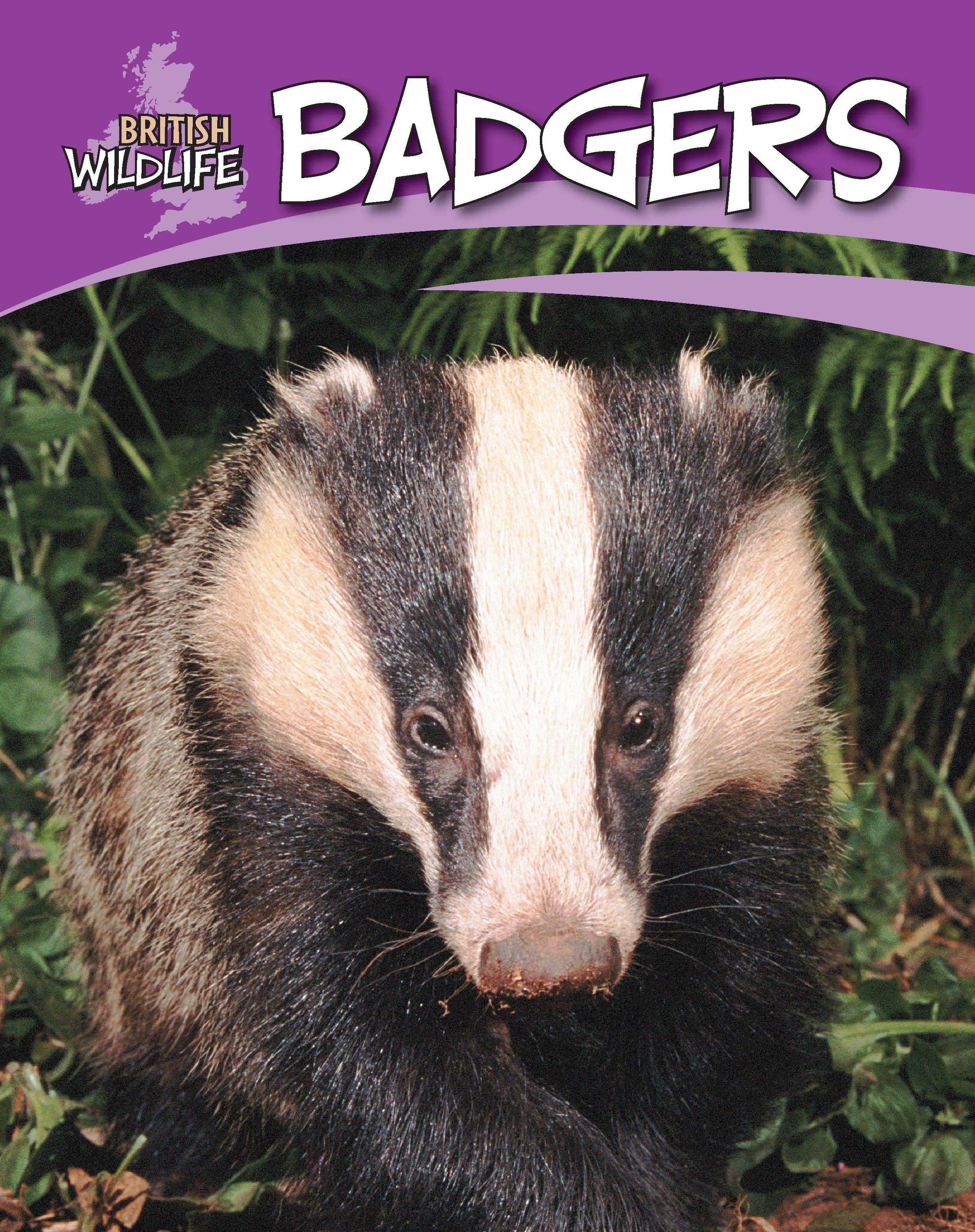 British Wildlife: Badgers by Sally Morgan | Hachette UK