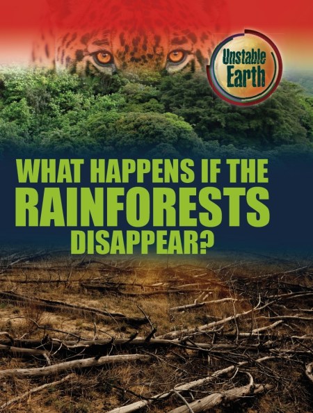 Unstable Earth: What Happens if the Rainforests Disappear?