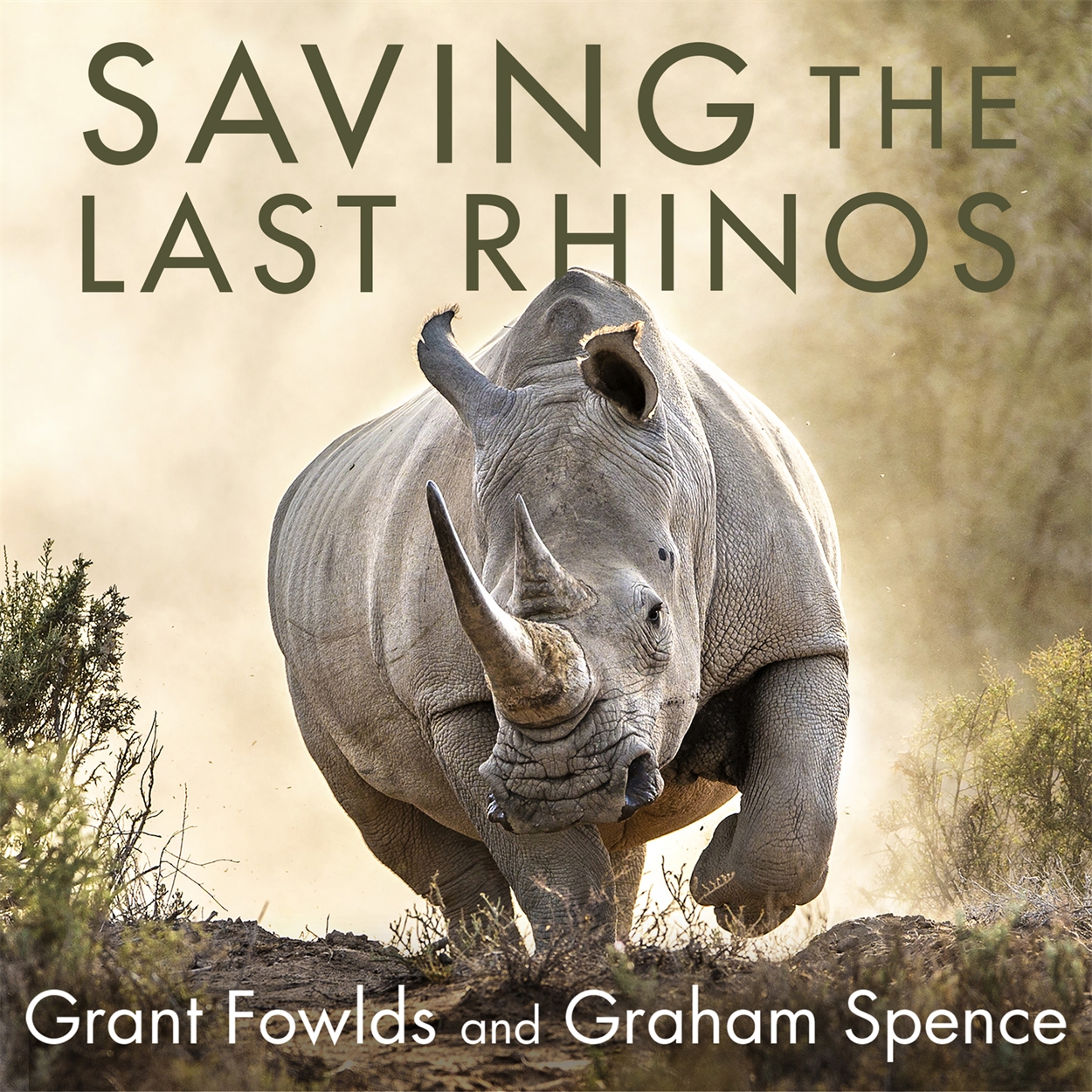 Saving The Last Rhinos By Byron Mondahl 