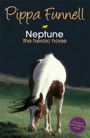 Tilly’s Pony Tails: Neptune the Heroic Horse