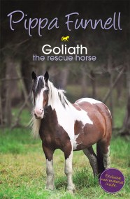 Tilly’s Pony Tails: Goliath the Rescue Horse