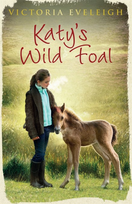 Katy’s Exmoor Ponies: Katy’s Wild Foal