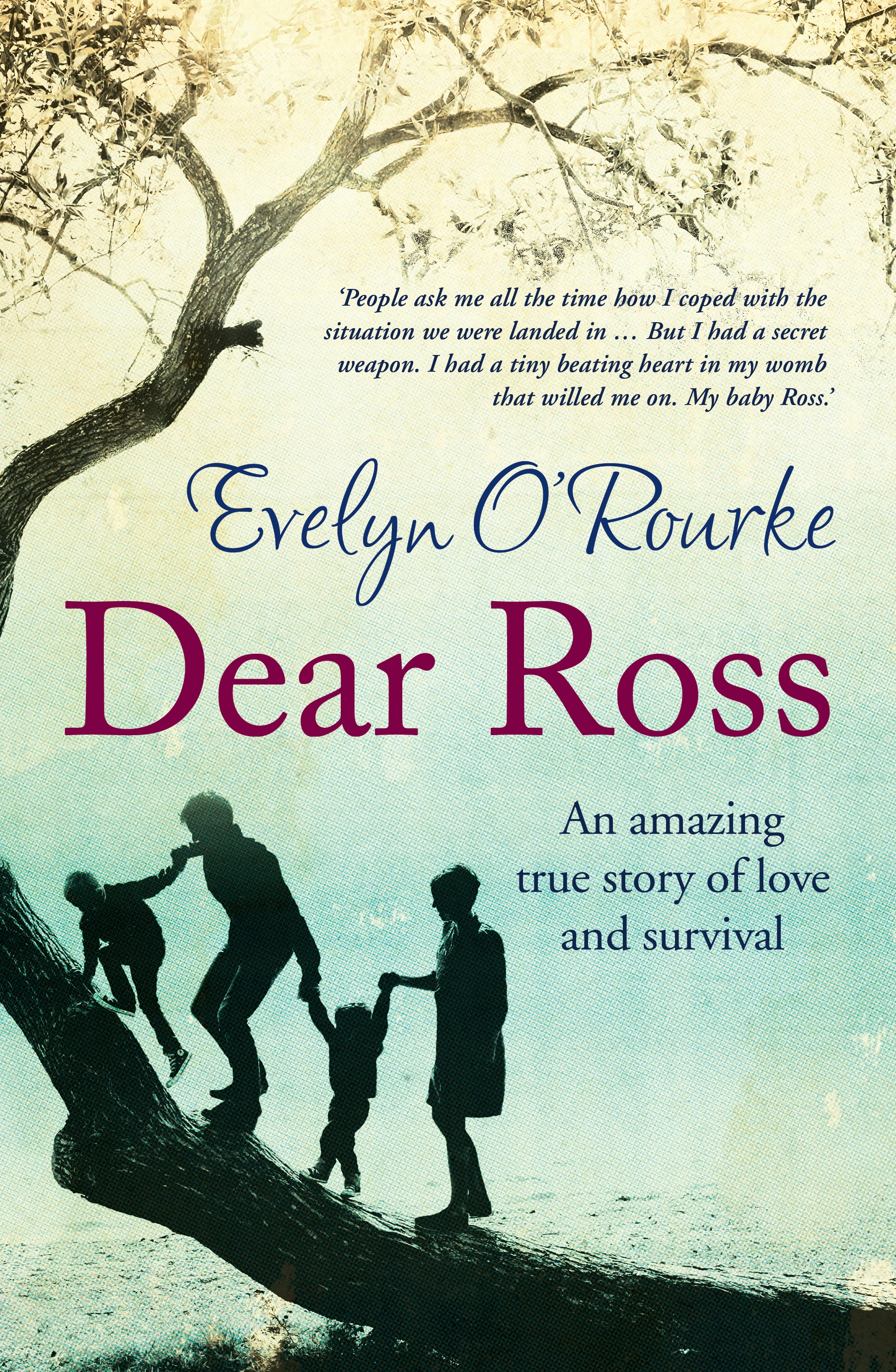 Dear Ross By Evelyn O Rourke Hachette Uk