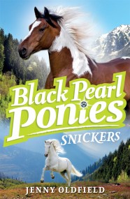 Black Pearl Ponies: Snickers