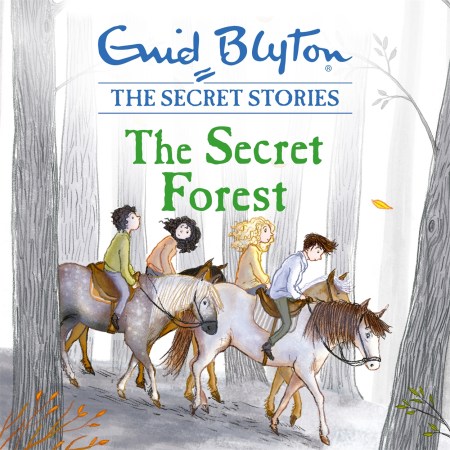 Secret Stories: The Secret Forest