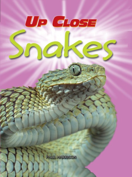 Up Close: Snakes