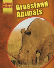 Saving Wildlife: Grassland Animals