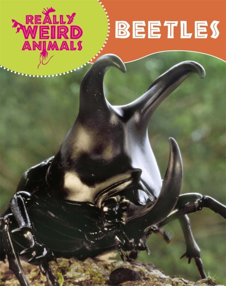 Really Weird Animals: Beetles