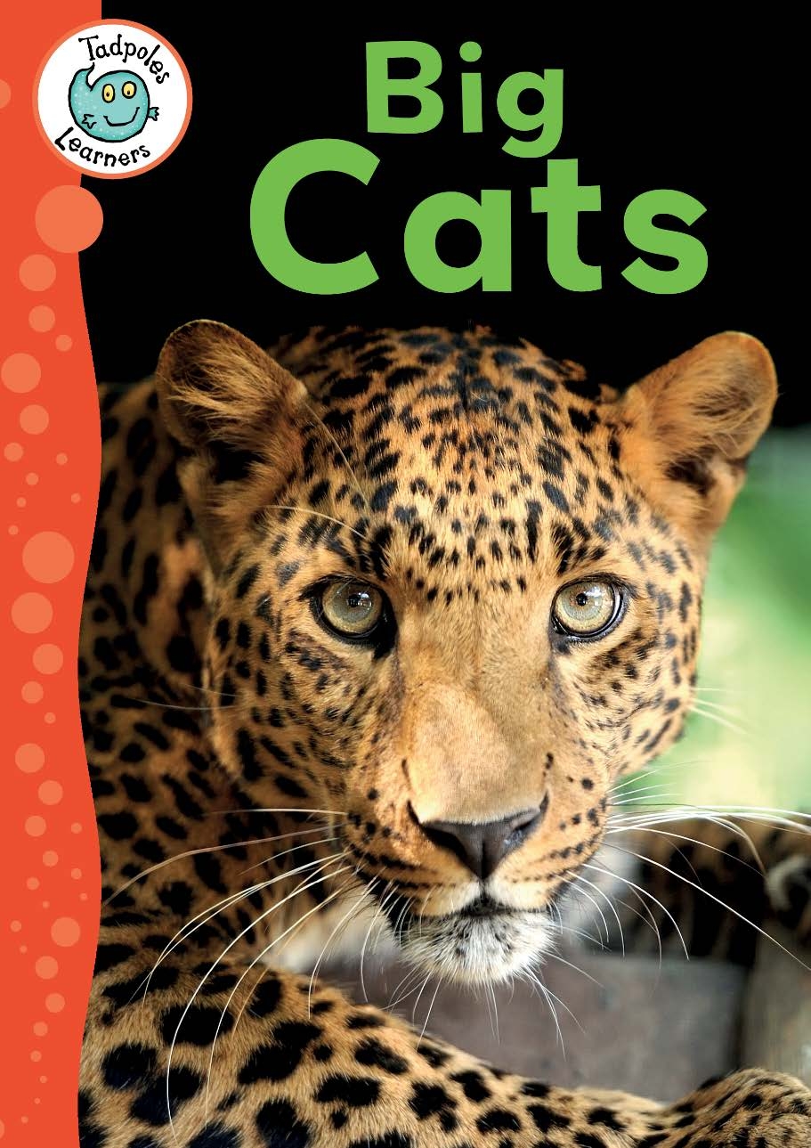 Tadpoles Learners: Big Cats by Annabelle Lynch | Hachette UK