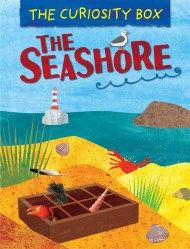 The Curiosity Box: The Seashore