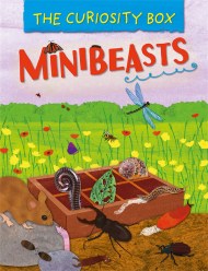 The Curiosity Box: Minibeasts