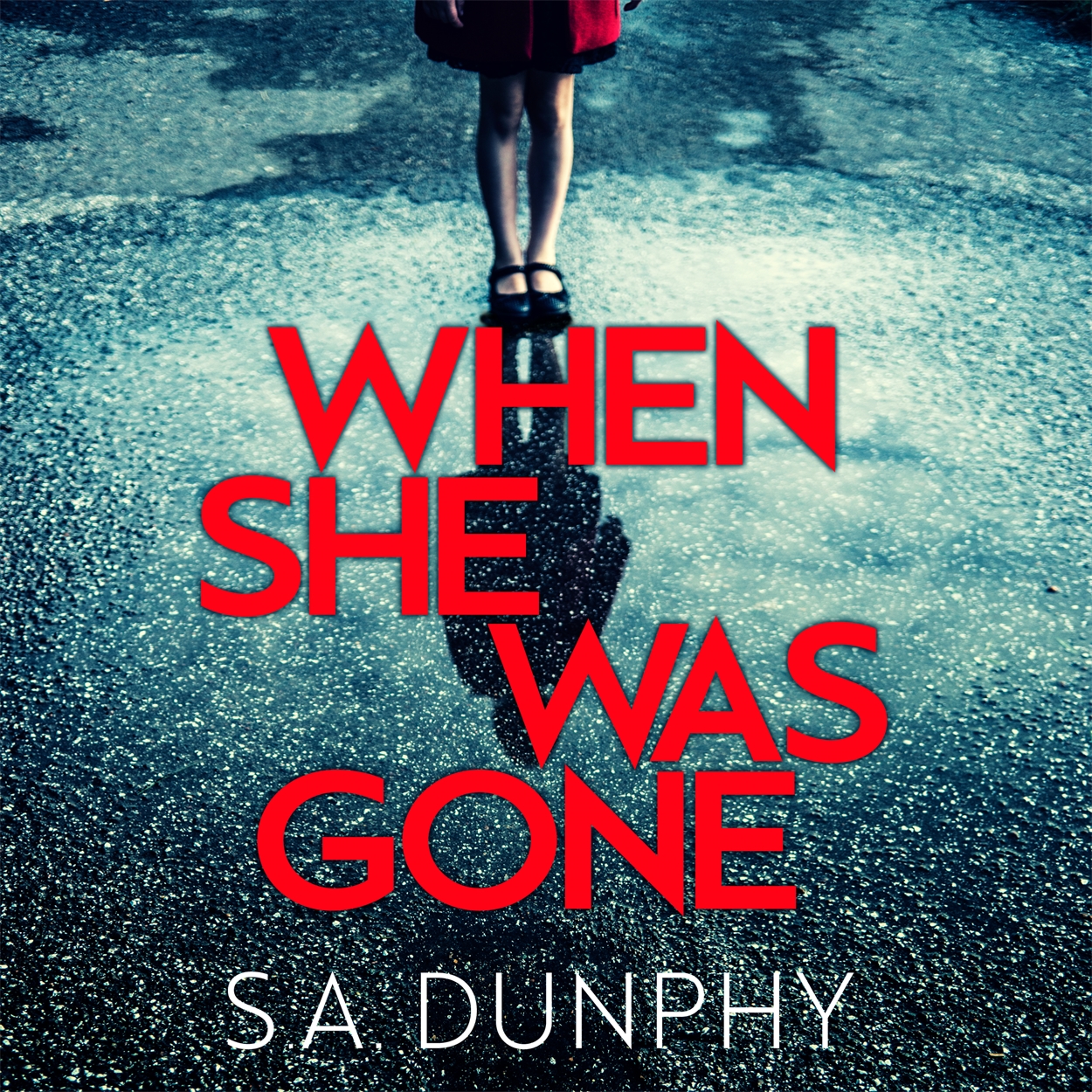 when-she-was-gone-by-s-a-dunphy-hachette-uk