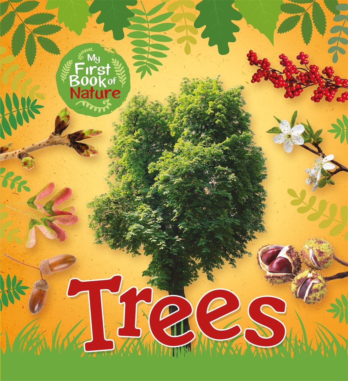 My First Book Of Nature Trees By Victoria Munson Hachette Uk