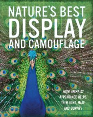 Nature's Best: Display and Camouflage