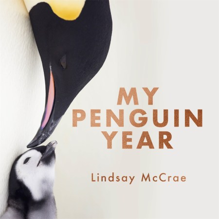 My Penguin Year