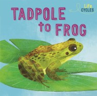 Life Cycles: From Tadpole to Frog