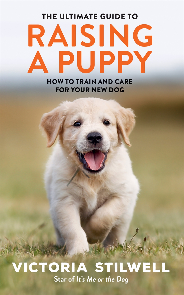 The Ultimate Guide To Raising A Puppy By Victoria Stilwell Hachette Uk